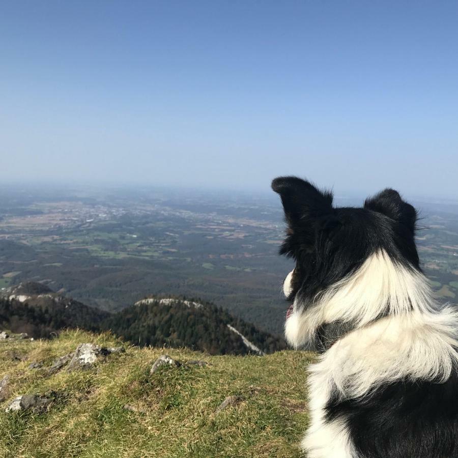 Gite Cap De La Hont Laruns Εξωτερικό φωτογραφία