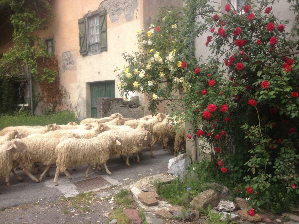 Gite Cap De La Hont Laruns Εξωτερικό φωτογραφία